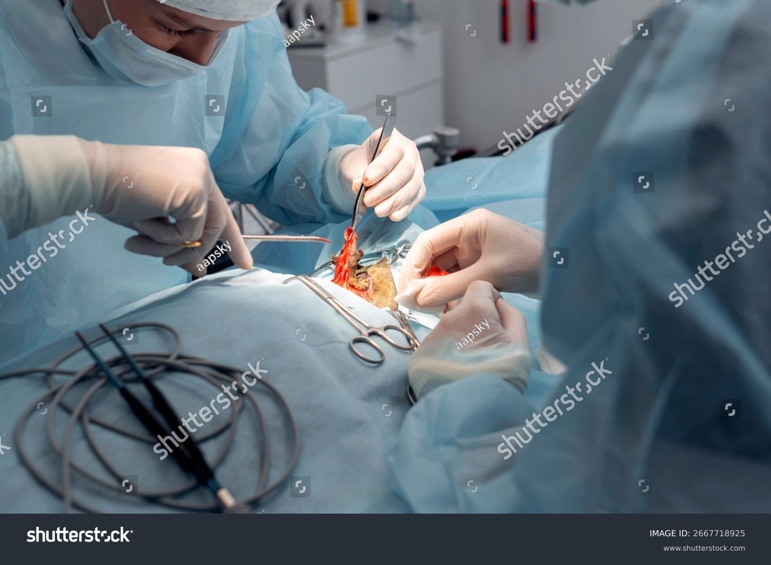 stock-photo-two-veterinarians-are-working-on-a-cat-during-a-surgery-in-an-animal-hospital-they-are-using-2667718925